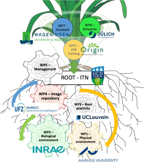 Text and image showing the project workflow